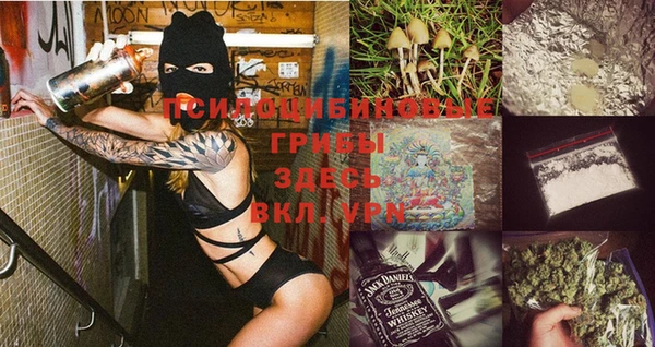 шишки Алексеевка