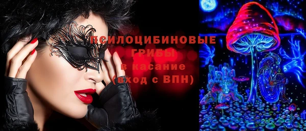 прущие грибы Алексин