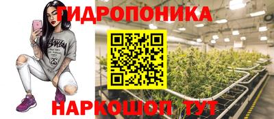 Альфа ПВП Кингисепп