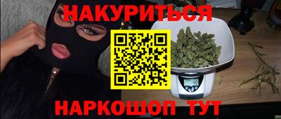 Альфа ПВП Кингисепп