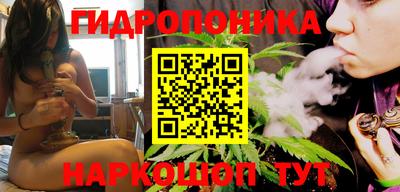 гашик Кимры