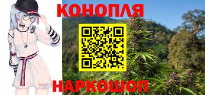 Альфа ПВП Кингисепп