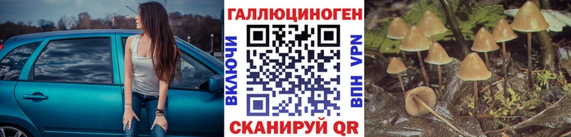 купить   Красноуфимск  blacksprut рабочий сайт  Псилоцибиновые грибы прущие грибы 