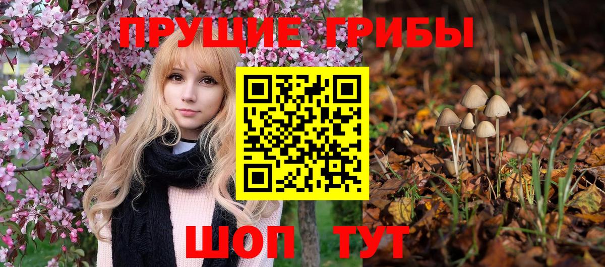 Галлюциногенные грибы Cubensis Красноуфимск