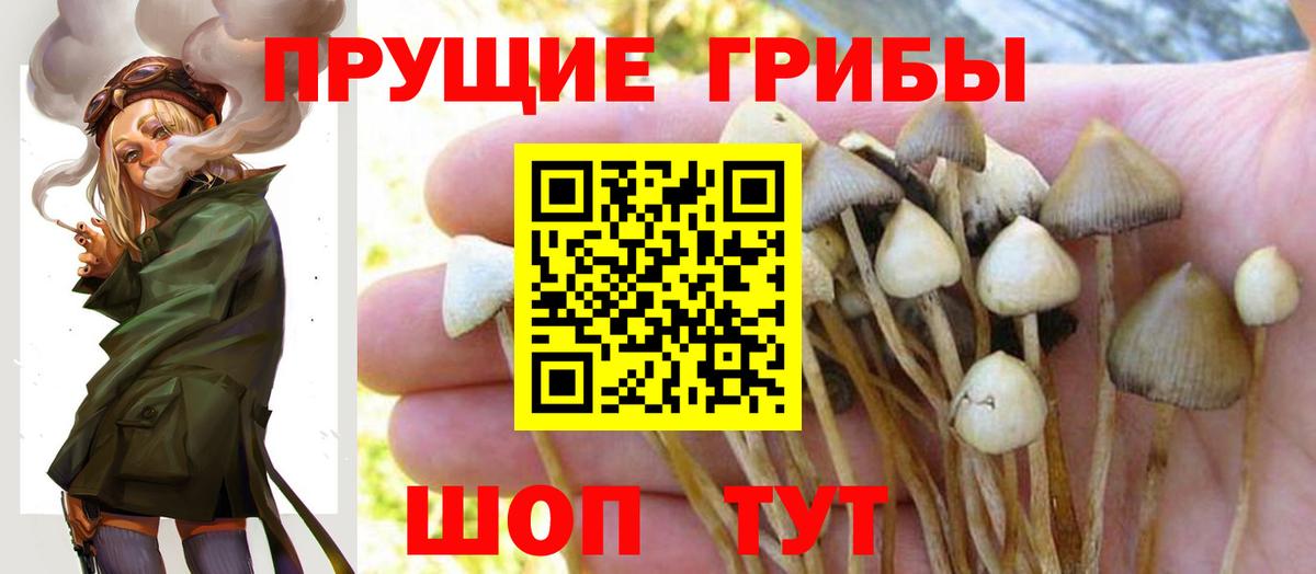 Галлюциногенные грибы Psilocybine cubensis  Вход с VPN  Красноуфимск  Псилоцибиновые грибы Magic Shrooms 